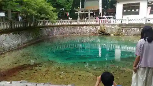 嚴島神社の自然