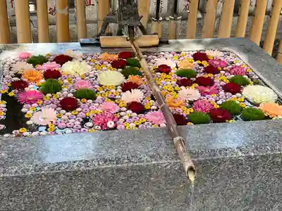 高円寺氷川神社(東京都)