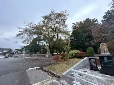 長野縣護國神社(長野県)