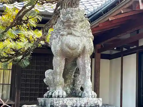 滋賀県護国神社の狛犬