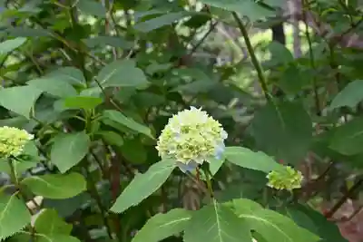 高山稲荷神社(青森県)