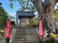 東漸寺(長崎県)