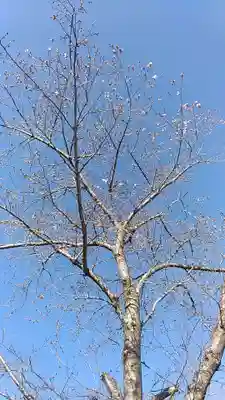 比佐豆知神社(三重県)
