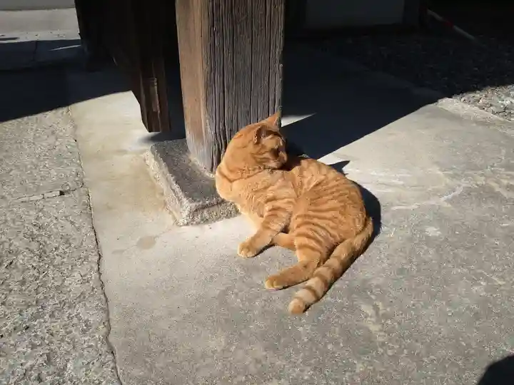 養源院(京都府)