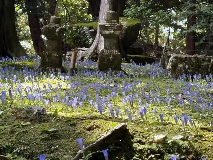 阿弥陀寺(和歌山県)