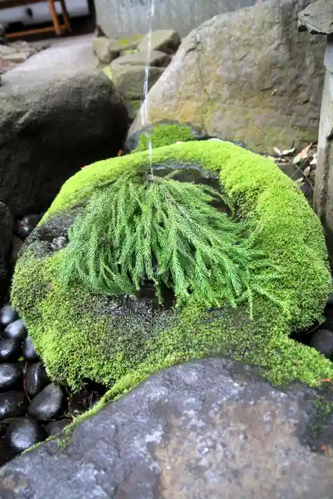 駒木諏訪神社(千葉県)