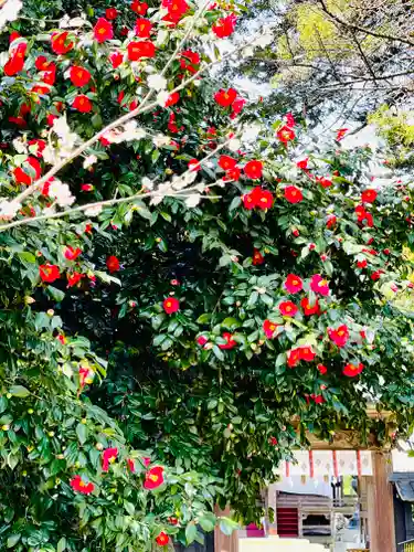 守りの神　藤基神社の自然