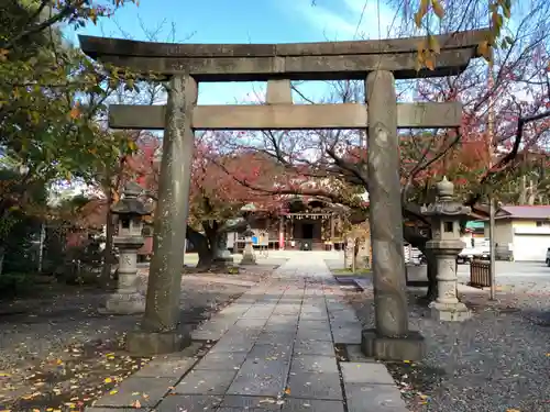 日枝神社の鳥居