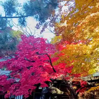 彌彦神社 (伊夜日子神社)(北海道)