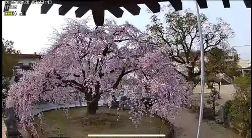 観音神社(広島県)