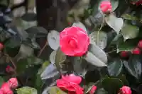 長屋神社の庭園