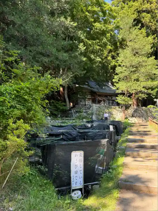 大滝神社(山梨県)