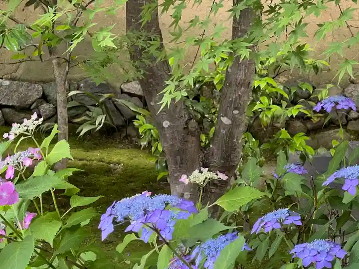 興臨院(京都府)