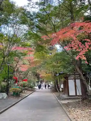 目の霊山 油山寺(静岡県)