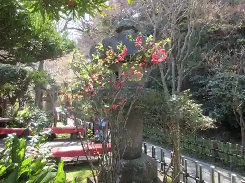 安國論寺（安国論寺）の景色