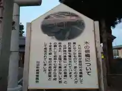 栃井神社の建物その他