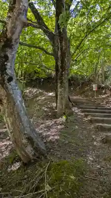 成相寺(京都府)