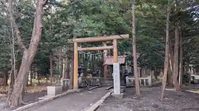 北海道神宮の鳥居