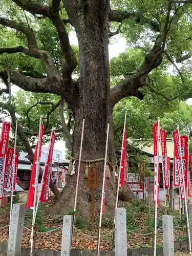 住吉大社(大阪府)