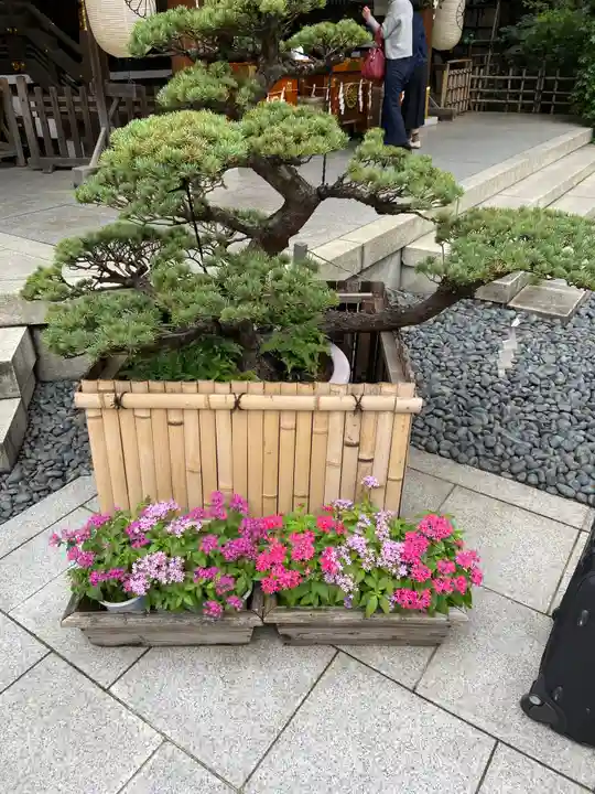 東京大神宮の芸術