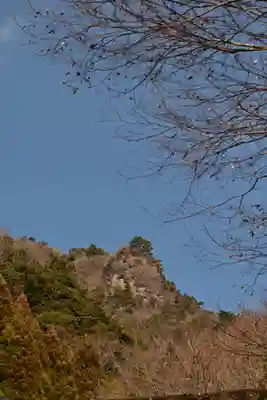 熊野神社(宮崎県)