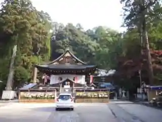 日牟禮八幡宮の本殿・本堂