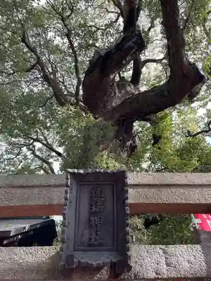 楠珺社（住吉大社末社）(大阪府)