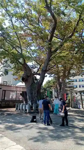阿邪訶根神社のその他建物