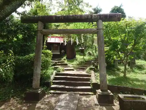 浅間神社の鳥居