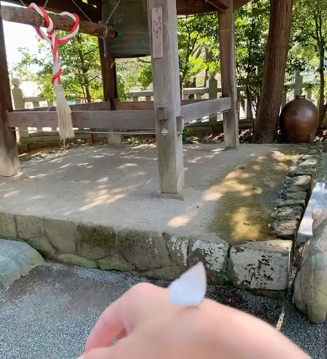 比々多神社の動物