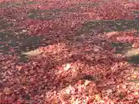 土津神社|こどもと出世の神さまの自然