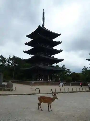 興福寺の塔