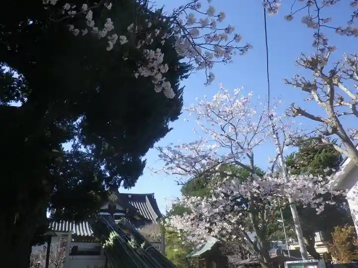 妙隆寺のその他建物