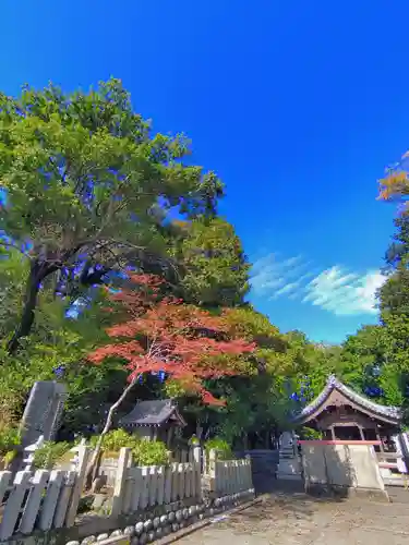 天神社（下小針）の自然