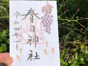 ① ぶどうとワレモコウ(片面)
② 秋桜 (両面)
御朱印対応時間 9時~16時迄
12時~13時は、対応できません。
ご了承くださいませ😌
※社務の都合で対応時間が変更することがございます。インスタグラムでお知らせしておりますので見ていただけたら幸いです。