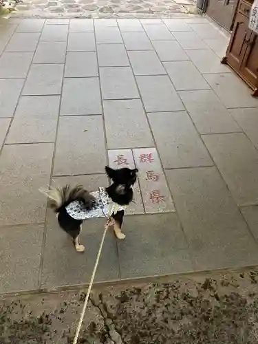 熊野皇大神社の動物