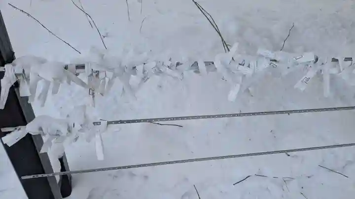 眞久寺のおみくじ