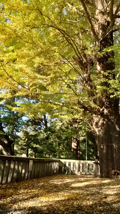 事任八幡宮(静岡県)