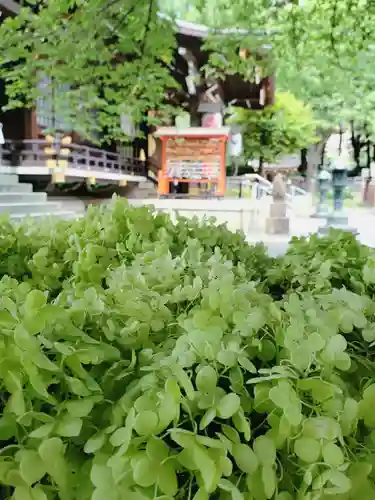 熊野神社(東京都)