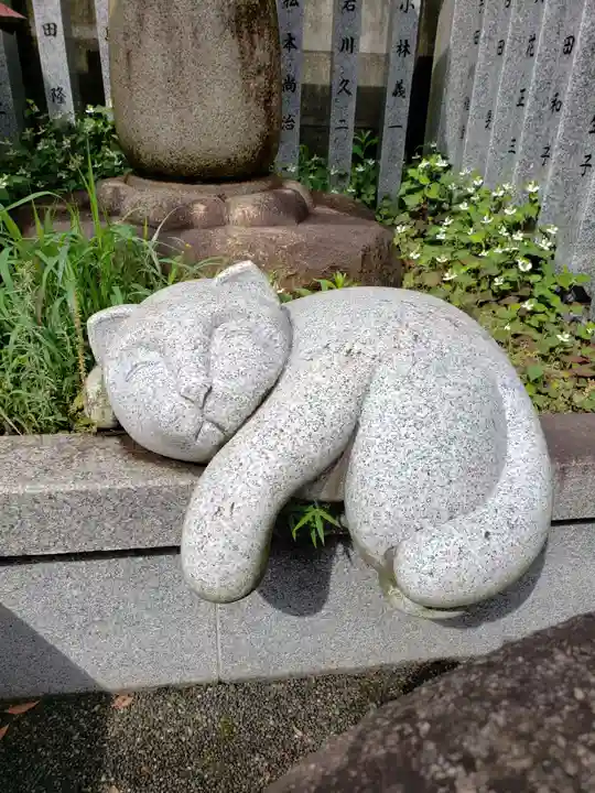 荻窪白山神社の狛犬