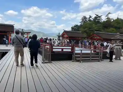 厳島神社(広島県)