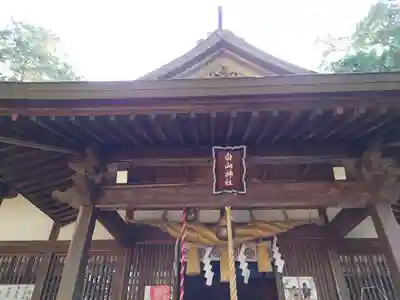 白山神社の本殿・本堂