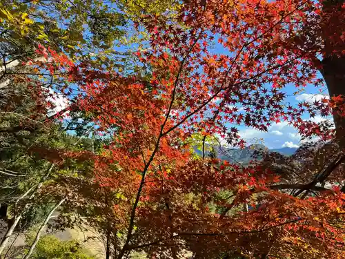 国宝 大法寺(長野県)