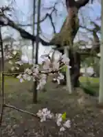 般若院(茨城県)
