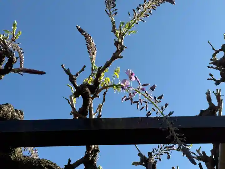 西方山極楽寺(岐阜県)