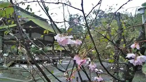 平野神社(京都府)