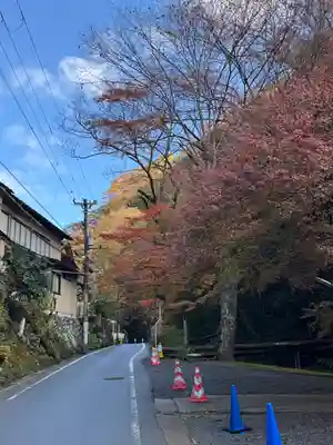 貴船神社結社(京都府)