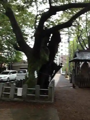 安積國造神社の自然