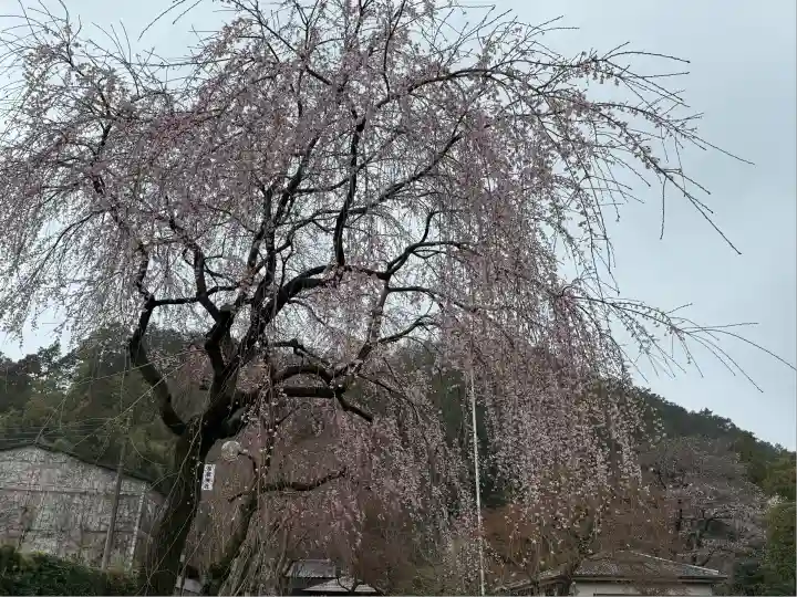 高麗神社(埼玉県)