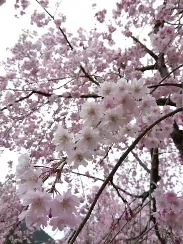 日吉神社(福井県)